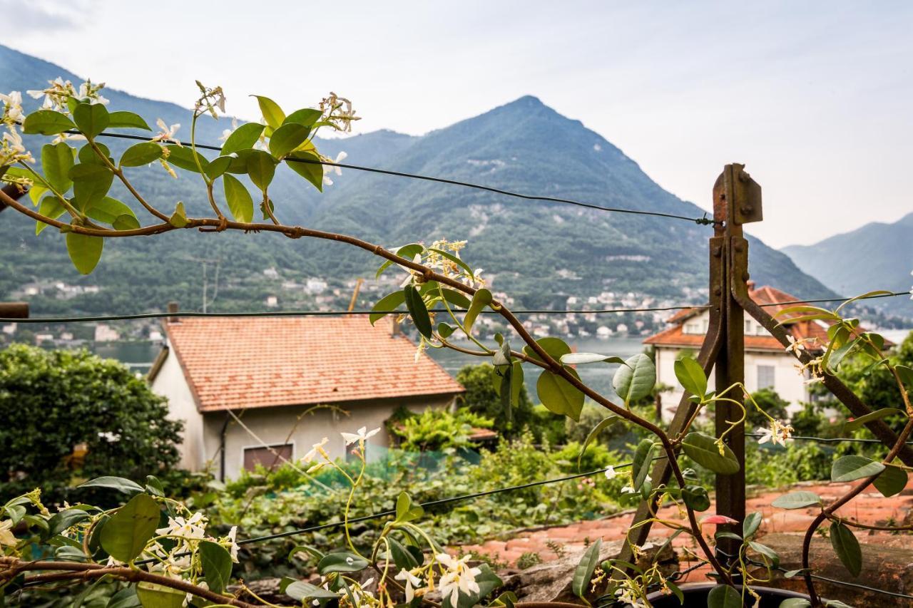 Vecchio Borgo Villa ตอร์โน ภายนอก รูปภาพ